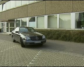 Sexy German babes enjoying cocks in asses