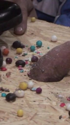 Step on the penis   Clip 2