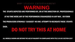 THE QUEST FOR VIRAL SUCCESS