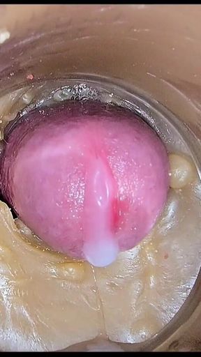 Compilation Creampie Part 5 POV