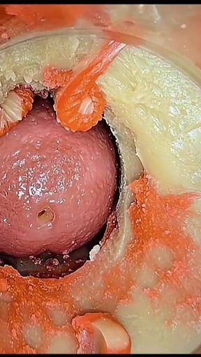 Compilation Creampie Part 5 POV
