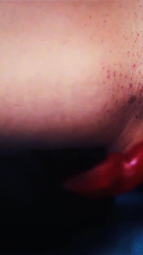 Bailee Tries Lesbian Sex with Carmen Rose