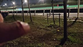 Show my cock to the driver himself