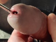 Extreme urethral sounding, close up.