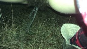 Risky Outdoor Bushy Pees HD