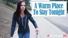 Brunette's Steamy Escape Turns Into Fiery Romance