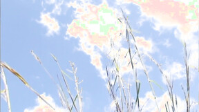 ”Carina goes outdoors & strips”