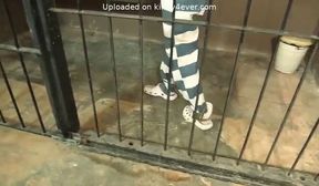 Prisoner humiliated by warden