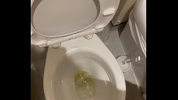 Bathroom piss