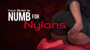 Numb For Nylons