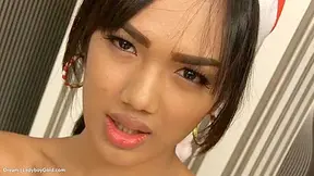 This Is Going To Be Holiday Ever With Waiting Up The Christmas Tree With Ladyboy Dream
