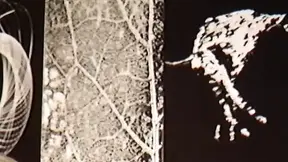 Studio babe shows off her pierced twat and large nips