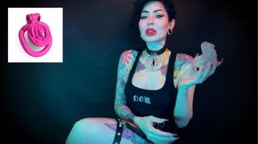 Wear the clitty chastity for a month, let's shrink your leftover shrimp - LOCKTOBER, SPH , SHRINKING