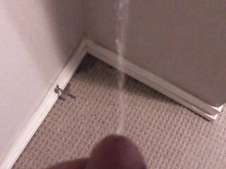 Pissing all over my bedroom carpet and wall, leave a biggest immodest puddle