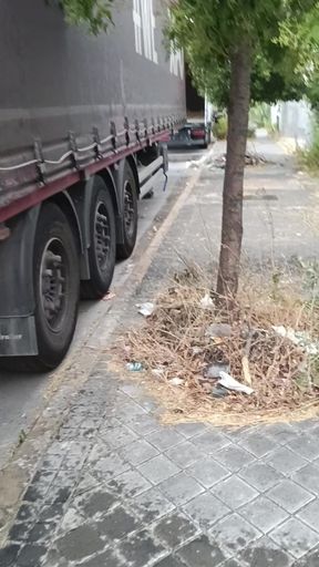 Unacerdaamaricona between trucks in chastity