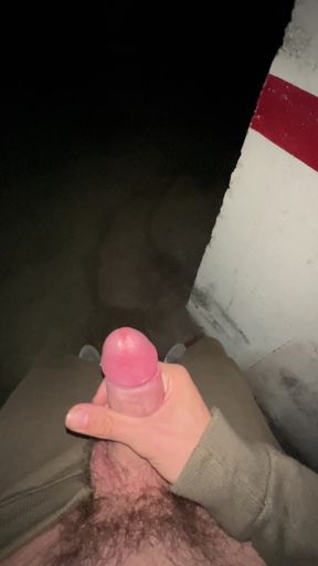 Thrilling moment from "almost caught cumming on parking. 3 orgasms"