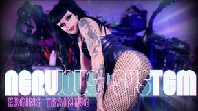 Nervous System Edging Training