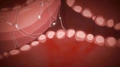 Mako-Chan Kaihatsu and Nikki 2: The Best Sex Scenes with a Big Load of Jizz