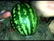 Выебал в Лесу АРБУЗ двумя ЧЛЕНАМИ!!!! Сумасшедшее гей порно!!!