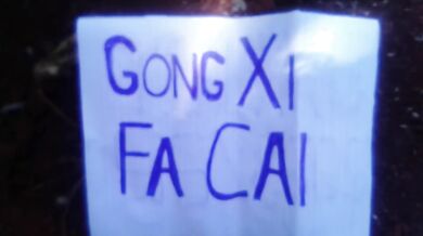 Indonesian horny boy jerks big dick with POV cumshot into wine glass for Chinese New Year