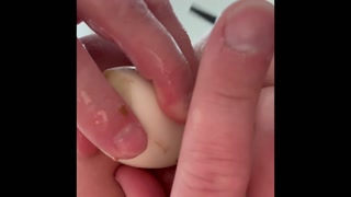 Stretching Ass with White Zucchini and then getting it OUT