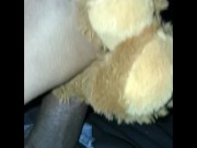 Putting bear back into bareback