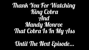the cobra is in my ass! mandy monroes ass gets gaped by the king