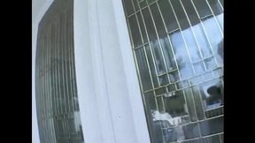 Bitch from Mexico rides before hard doggy orgasm and cumshot