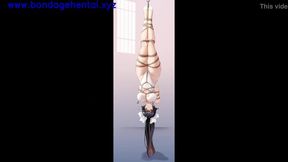 Submissive anime beauty bound and dominated