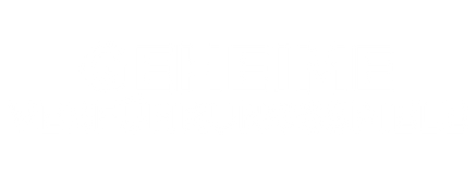 Secret games of seduction