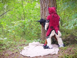 The Dog Days of Summer