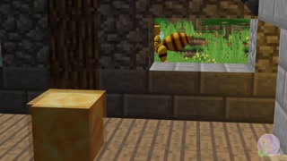 Honey beekeeping - Trailer