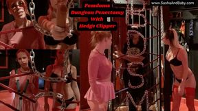 Femdoms Dungeon Penectomy With Hedge Clippers Hardcore Taboo