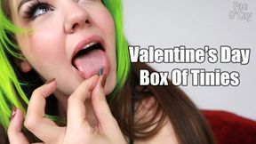 Valentine's Day Box Of Tinies