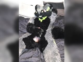 Filthy Fursiuter Makes a Larger Mess