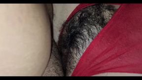 Hairy Pussy