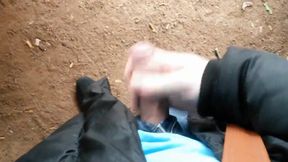 German Stud Public Park Jerk And Cum