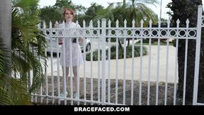 Bracefaced Ginger Bush