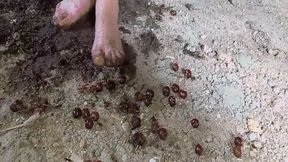 Dirty feet from crushed berries WMV