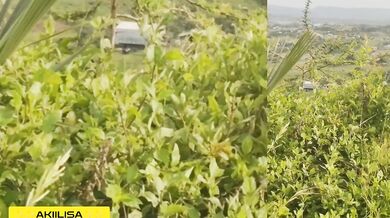 yoga pants split on her nature walk ebony ass flashing