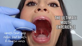 The ultimate mouth experience - Lalo Cortez and Vanessa