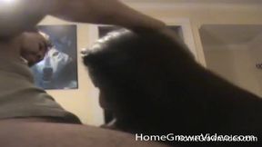 Nurse Niki deepthroats Big Don's hard dick