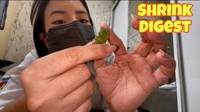 Giantess nurse POV: Shrunk, Swallowed, Digested