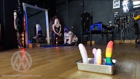 Lesbian strap-on training for Nikki Whiplash's human puppy WL1791