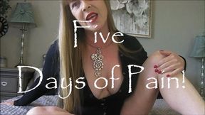 5 Days Of Pain wmv