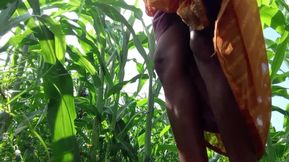 Stepsister-in-law, Sit in the Field of Indian Bajra and Drain the Water From the Burrow.