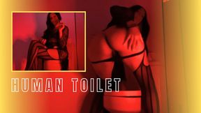 Usando o toilet