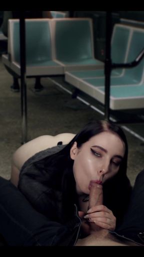 Beautiful Stranger Sucked Me in Train - Mollyredwolf