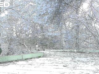 Park Web camera Hikers Public Role Play Manhattan Female
