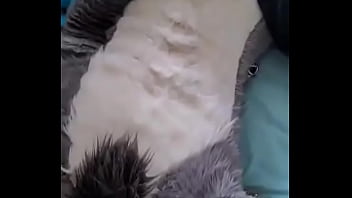Fursuit gozando muito